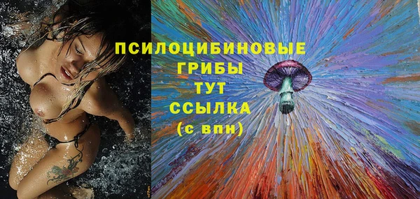 эйфоретик Ладушкин