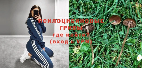 стаф Лагань